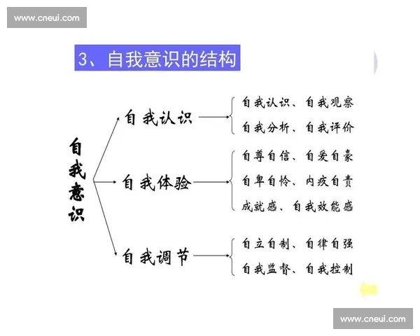 打造心理优势助力人生成功与自我成长的实用策略