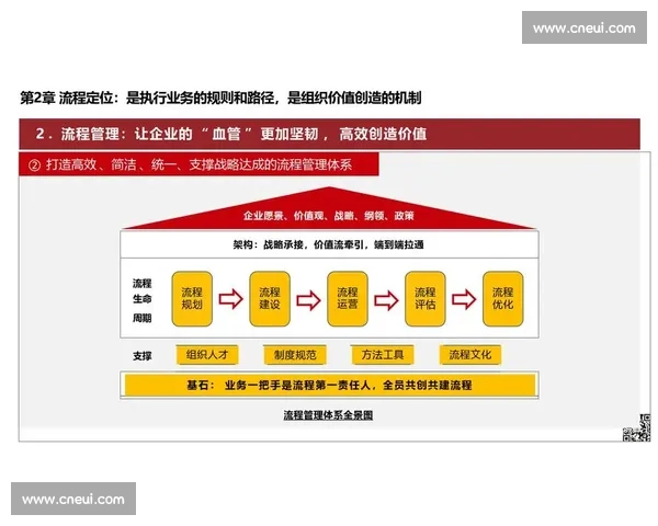 以制度与流程为核心推动组织高效运作的实践与策略研究