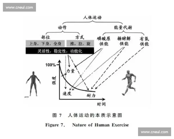 体育心理优化驱动下青少年运动表现提升与抗压能力协同发展研究 体育心理优化驱动下青少年运动表现提升与抗压能力协同发展研究