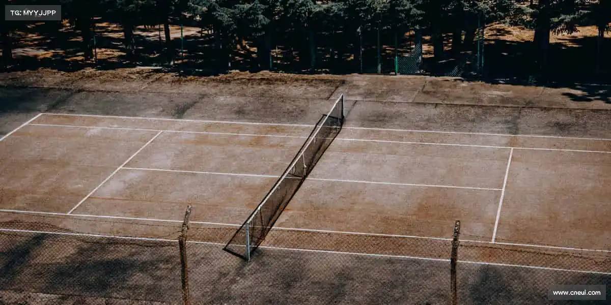 <strong>必一运动</strong>🏓小球转动大梦想，每一拍都全力以赴！